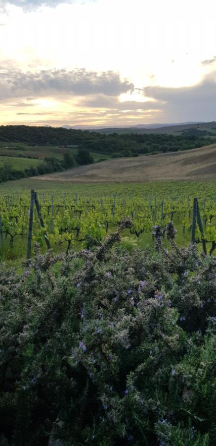 Agriturismo Bagnaia San Quirico d'Orcia Bagian luar foto