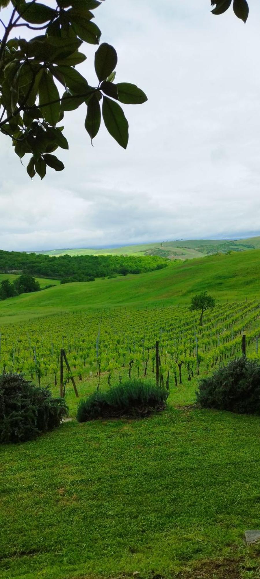 Agriturismo Bagnaia San Quirico d'Orcia Bagian luar foto