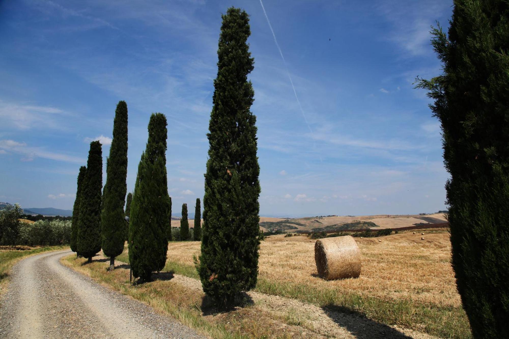 Agriturismo Bagnaia San Quirico d'Orcia Bagian luar foto