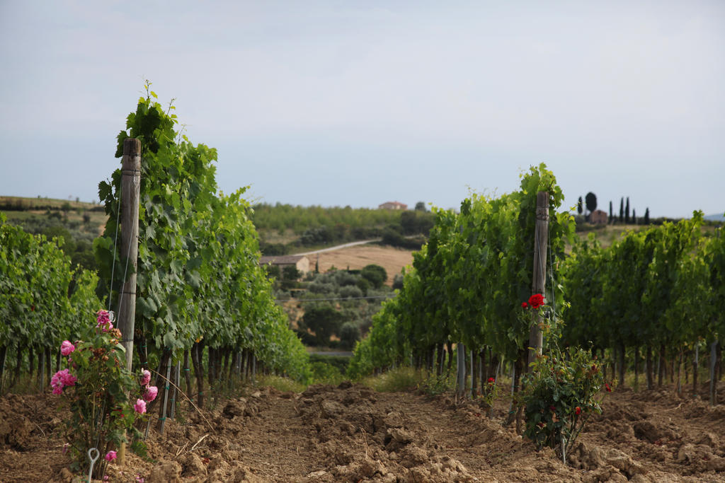 Agriturismo Bagnaia San Quirico d'Orcia Bagian luar foto