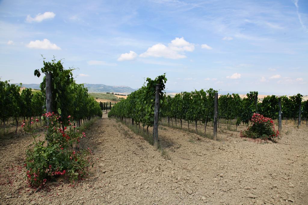 Agriturismo Bagnaia San Quirico d'Orcia Bagian luar foto