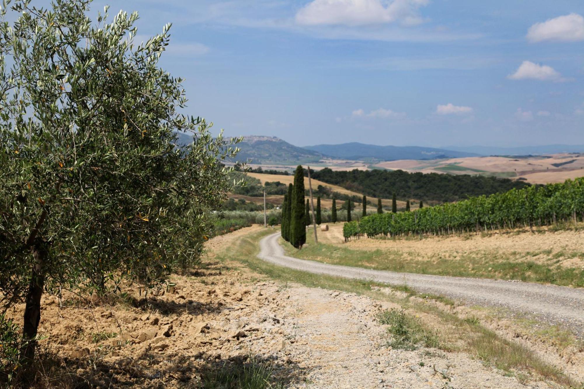 Agriturismo Bagnaia San Quirico d'Orcia Bagian luar foto