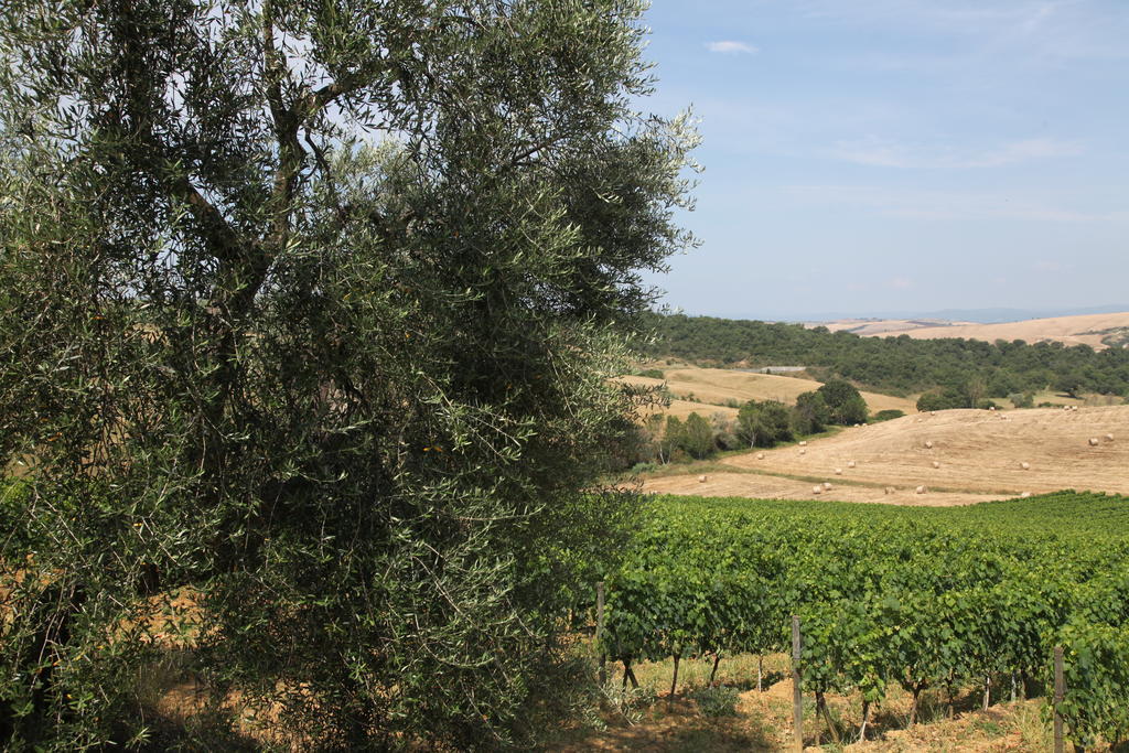 Agriturismo Bagnaia San Quirico d'Orcia Bagian luar foto