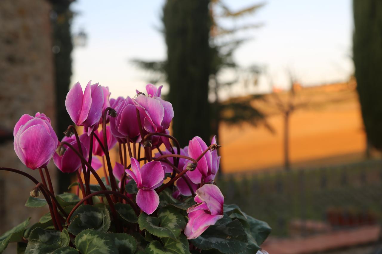 Agriturismo Bagnaia San Quirico d'Orcia Bagian luar foto