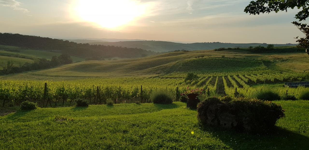 Agriturismo Bagnaia San Quirico d'Orcia Bagian luar foto